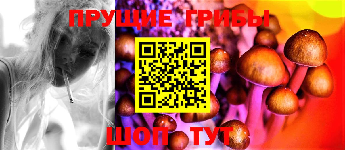 Великий Новгород  Галлюциногенные грибы прущие грибы  Вход с VPN  Псилоцибиновые грибы ЛСД 